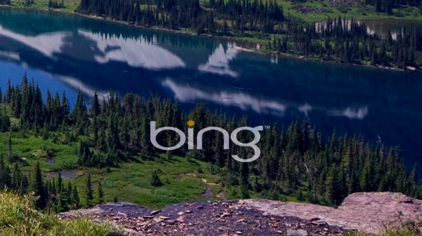 bing windows phone