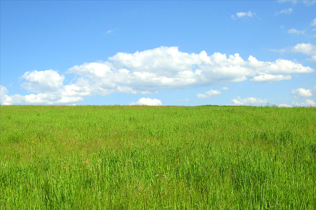 rural area broadband