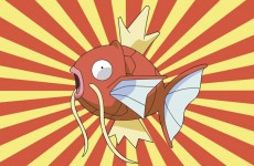 fish plays pokemon