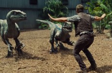jurassic world training raptors